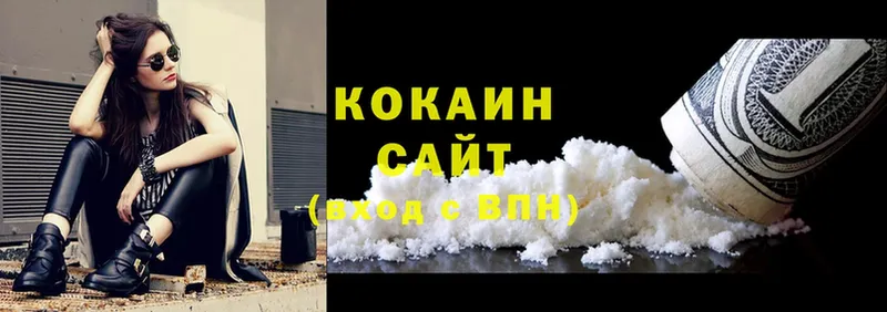 KRAKEN зеркало  купить закладку  Ногинск  COCAIN Fish Scale 